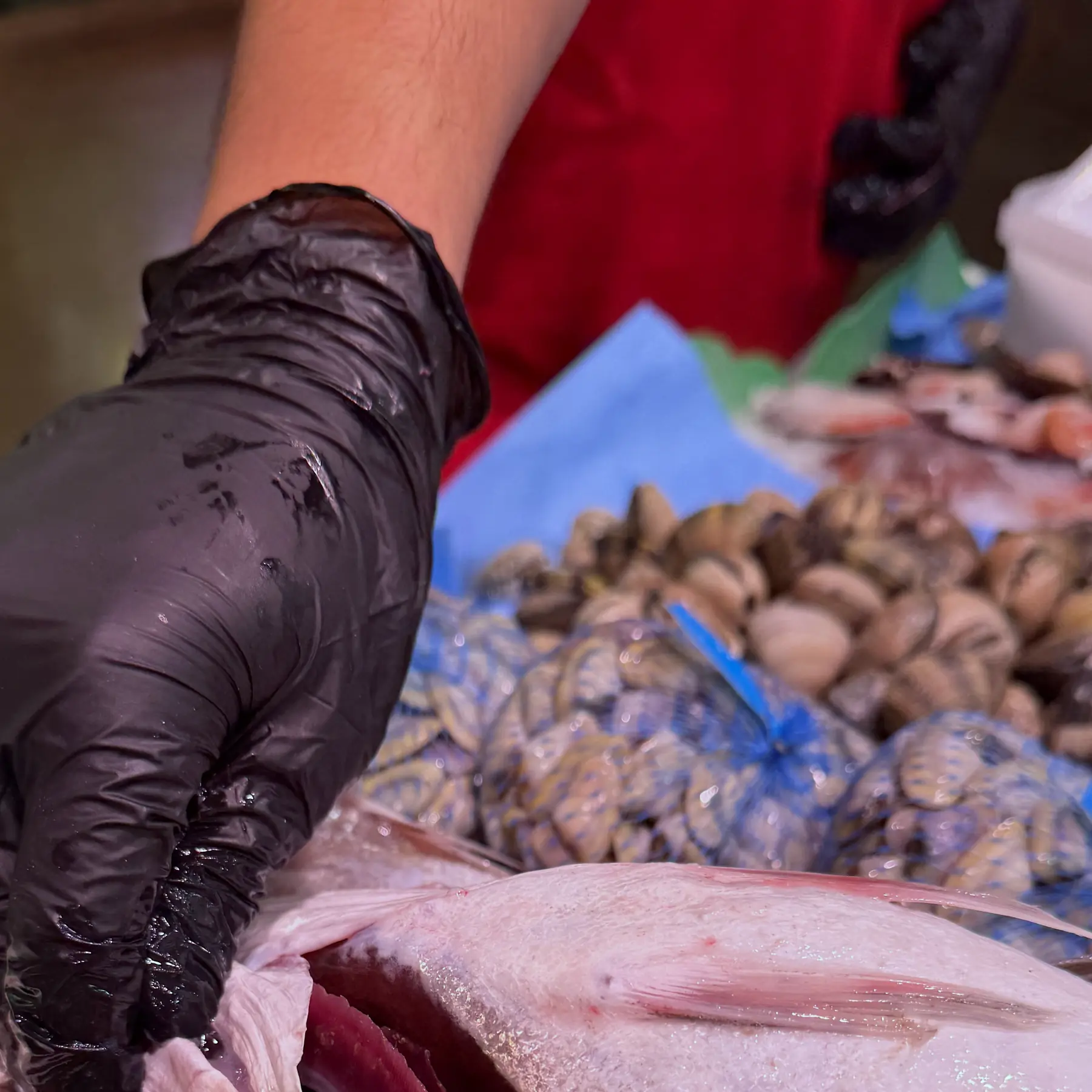 La mà d'una peixatera obrint les ganyes d'un lluç per mostrar-ne el color vermell viu.