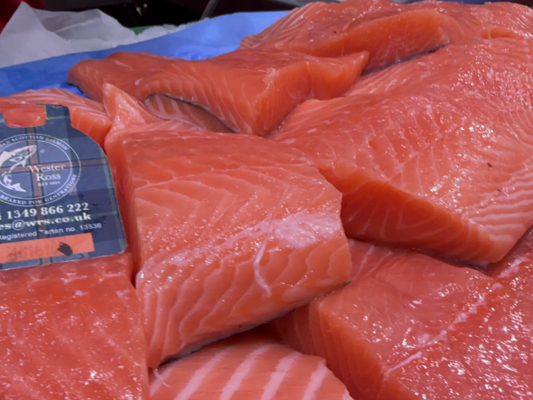 Salmó